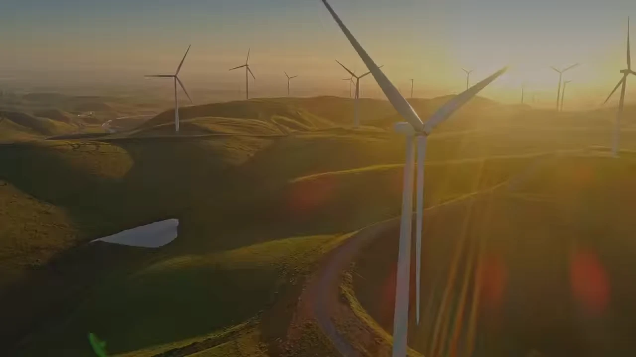 iGuru Software - Global Software Engineering Company